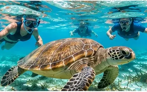 Akumal bay