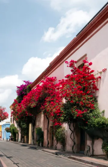 Road and colonial streets in Valladolid