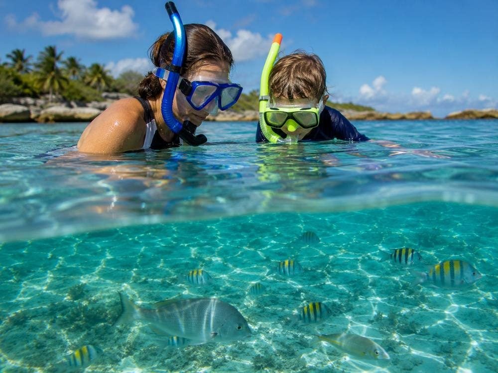Parent and child looking at tropical fish from the surface while maintaining distance from wildlife.