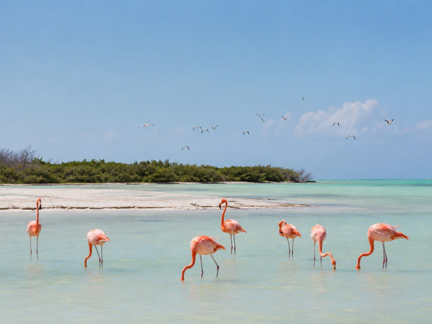 Sunny Holbox street and beach scene showing firm sandy roads during dry conditions.