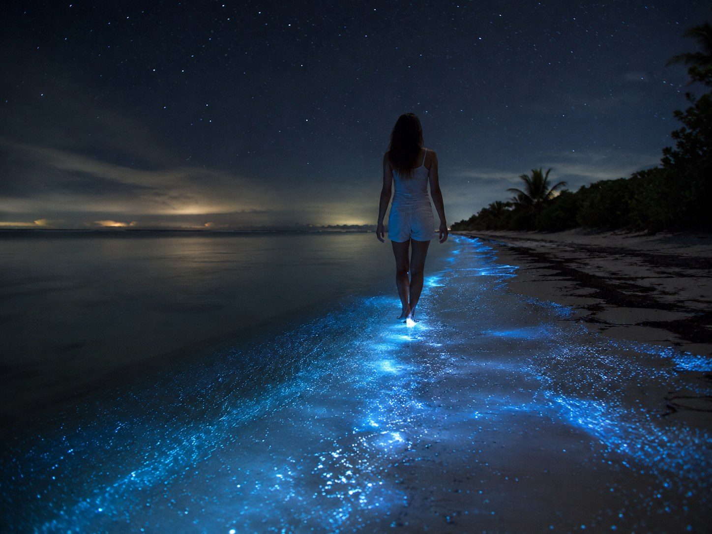 Dark Punta Cocos shoreline with a guide preparing visitors for a bioluminescence outing.