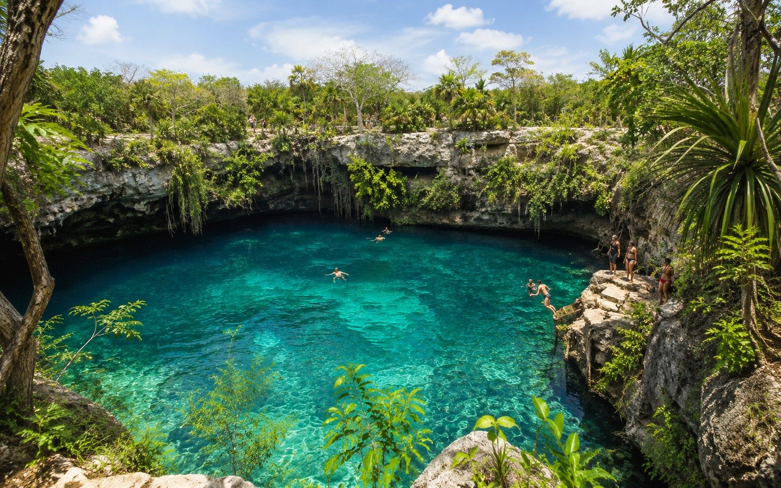 Cenote Types Explained: Open, Semi-Open and Cave Settings