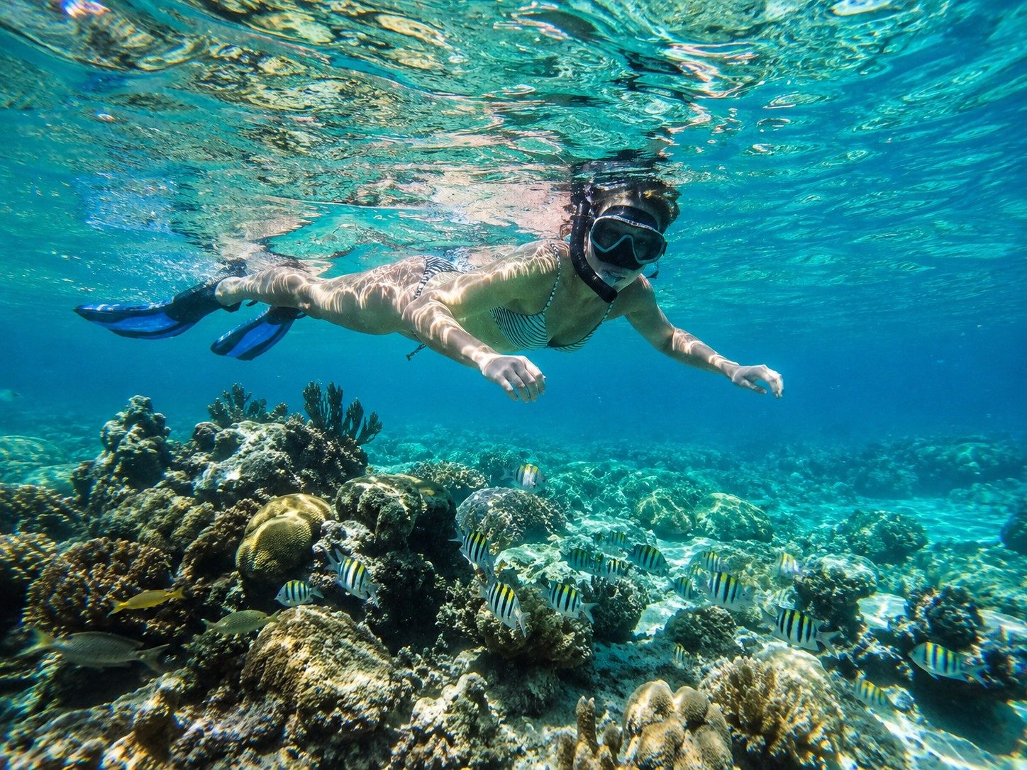 Puerto Morelos Snorkeling Guide: Reef Tours and Marine Park Rules