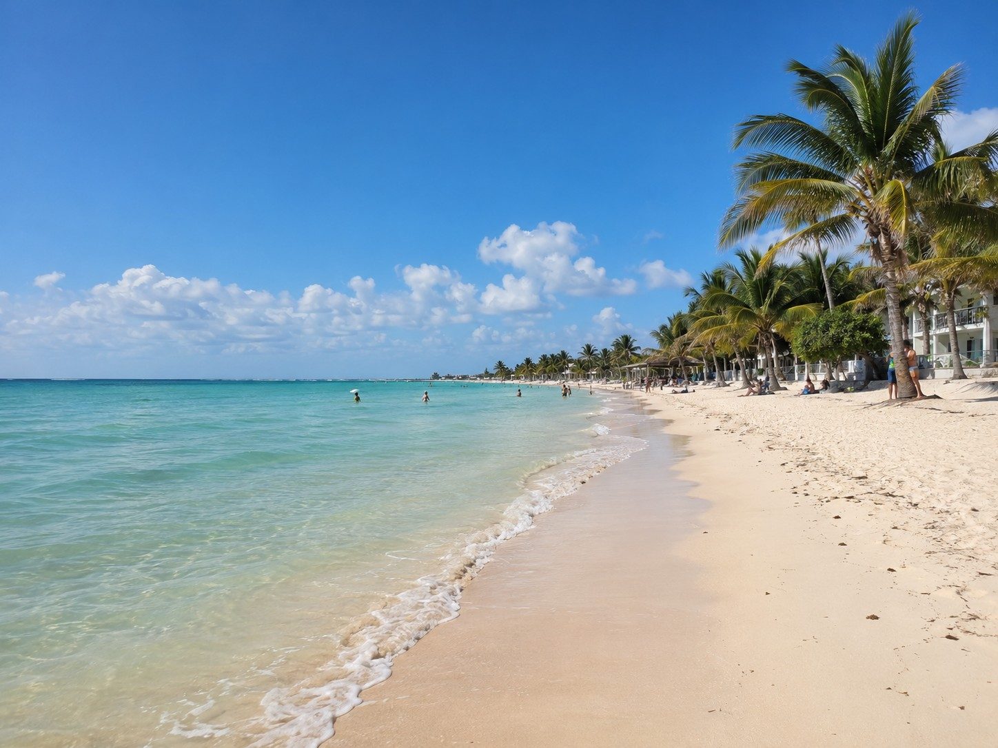 Puerto Morelos Beach Guide: Access, Swimming and Sargassum