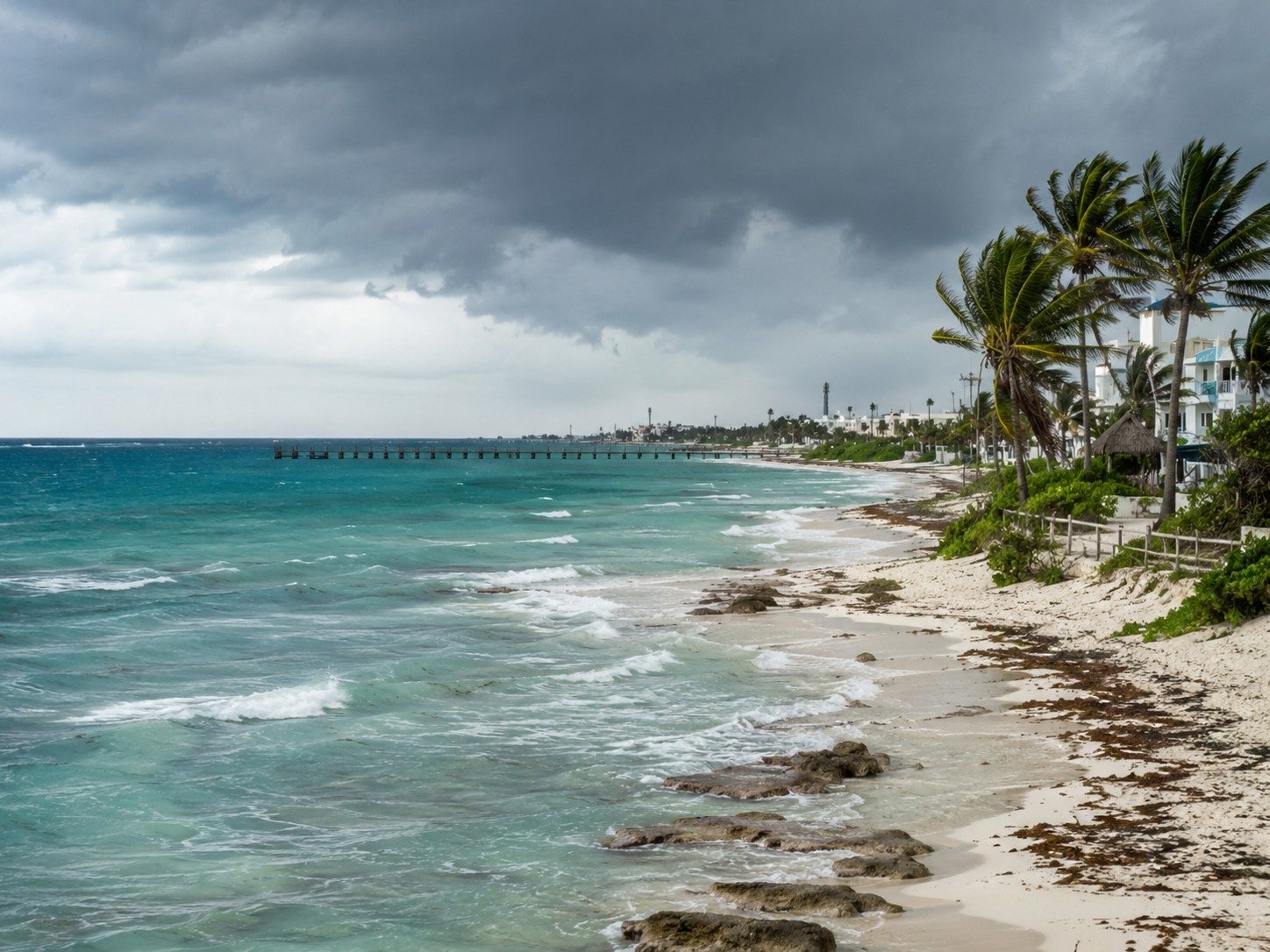 Puerto Morelos Weather, Safety and Sargassum Guide