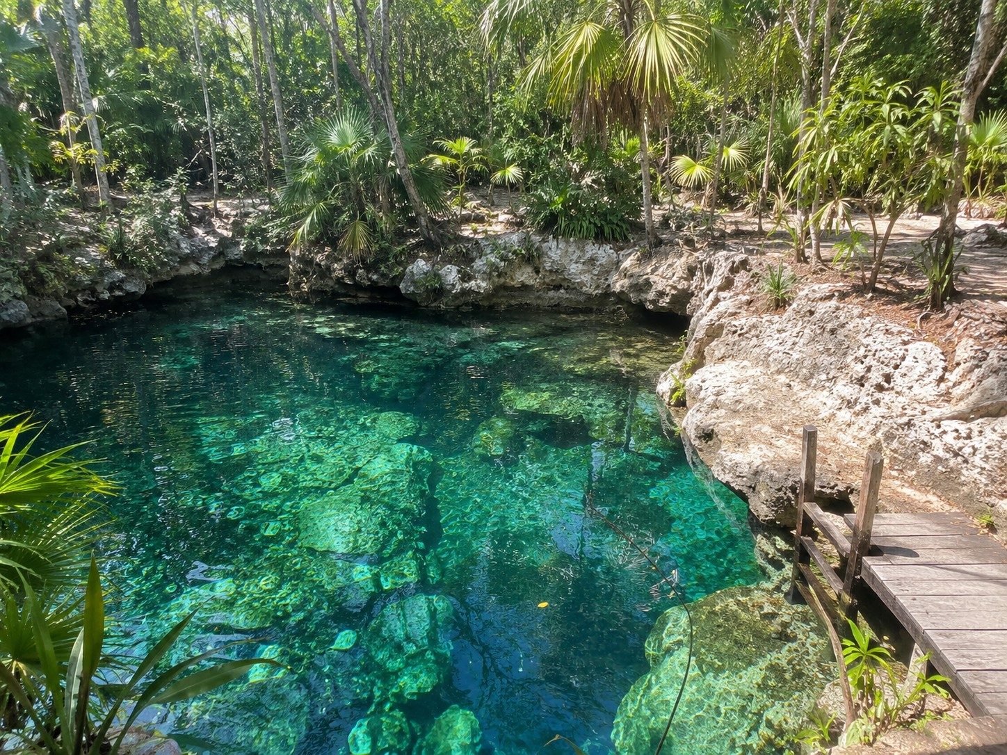 Cenote near Puerto Morelos
