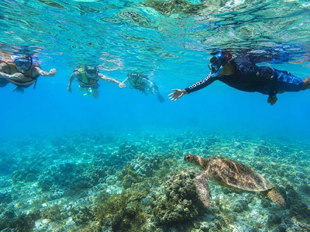 Small guided snorkel group wearing flotation vests and maintaining space in clear water.