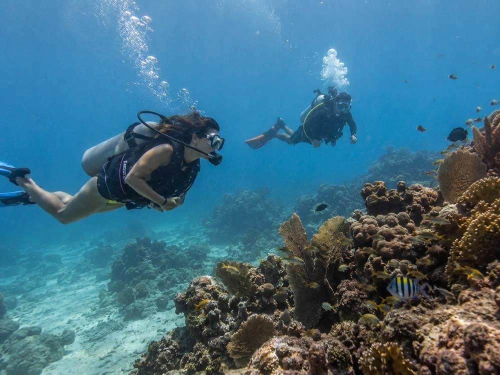 Certified diver exploring a Riviera Maya reef with a guide at a safe distance.