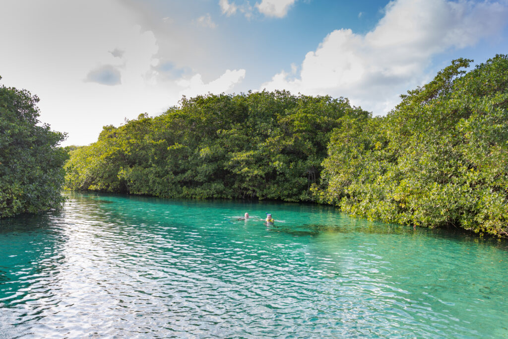 Casa Cenote (Cenote Manatí)