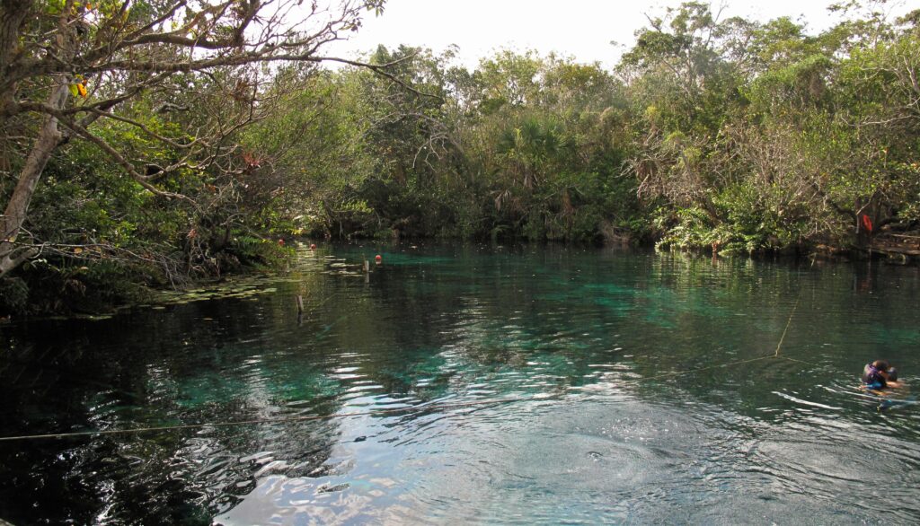 Cenote Carwash (Aktun Ha)