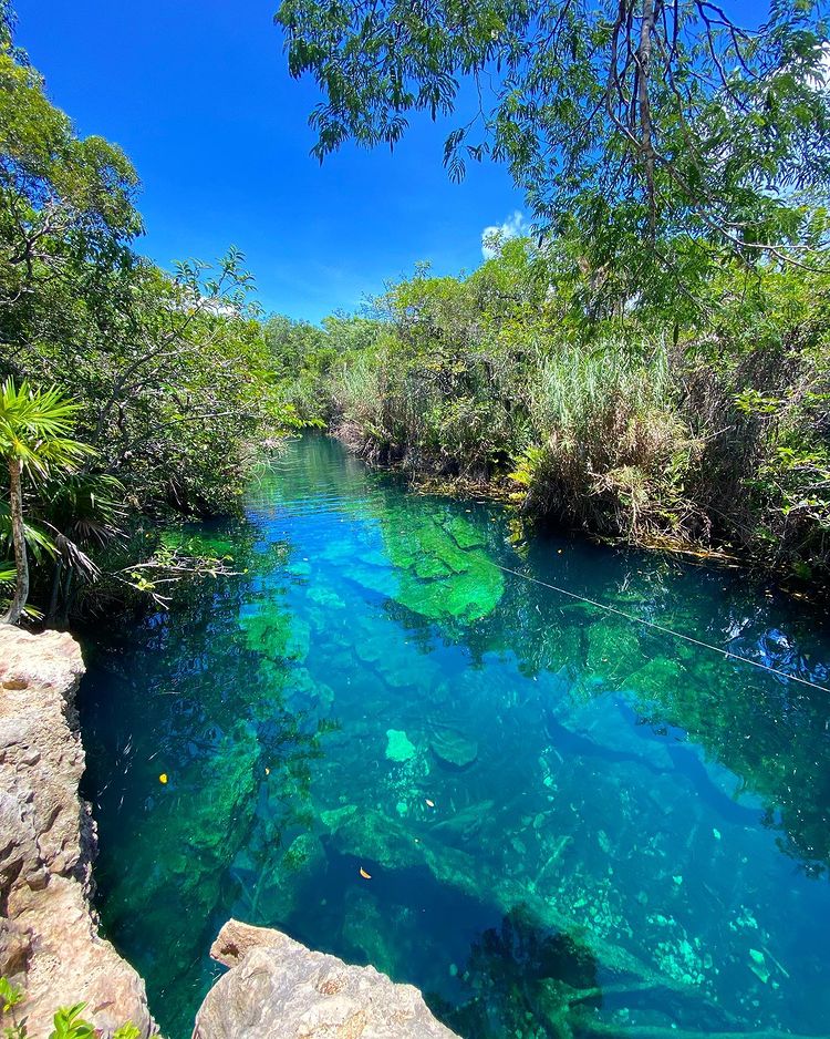 Cenote Escondido - Tulum