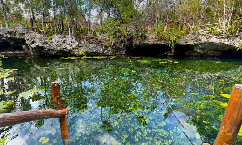 Cenote Nicte-Ha