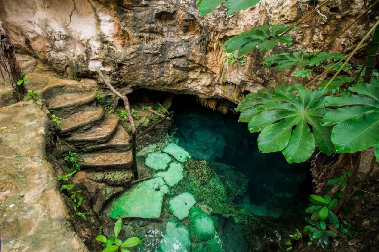 Cenotes Casa Tortuga