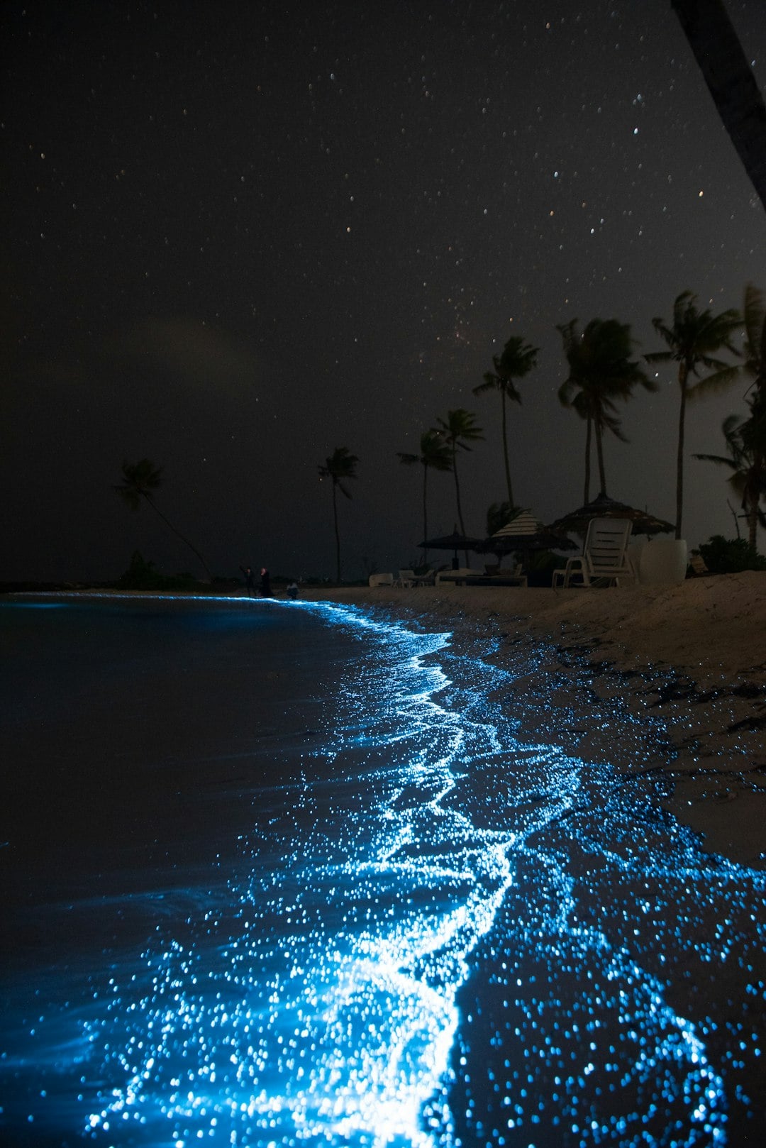 Bioluminescence glowing in shallow water at night