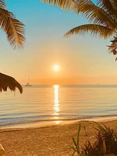 The sun rising over calm water between palm trees