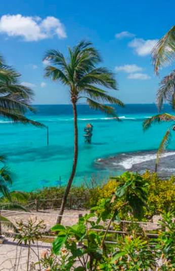Palm-framed Caribbean lookout on Isla Mujeres