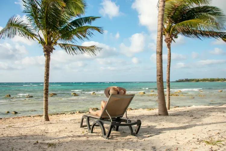 A quiet beach chair beneath palm trees beside the Caribbean