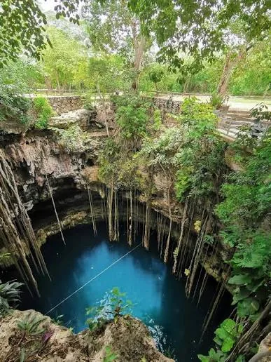 A deep open cenote surrounded by limestone and hanging roots