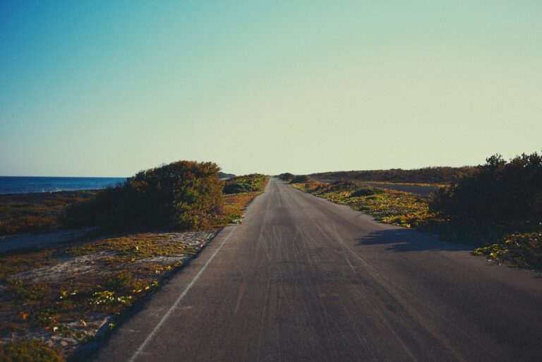 Paved road through green tropical vegetation on Cozumel.