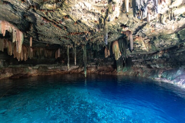 Tours de cenotes