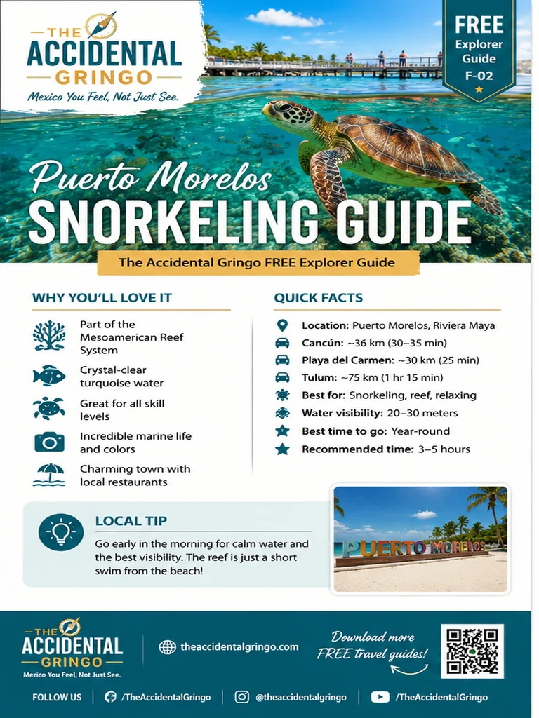 Puerto Morelos Snorkeling Guide – F-02 Edition